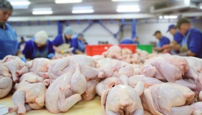 Toyuğun içərisinə buz qoyub çəkidə aldadırlar?