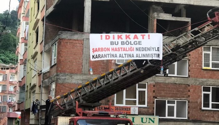 Türkiyədə indi də sibir yarası həyəcanı!
