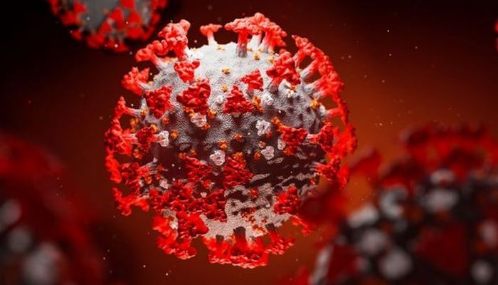 Ученые в США обнаружили фермент, помогающий коронавирусу проникнуть в клетки человека