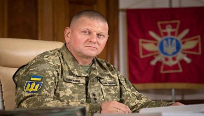 Ukrayna ordusunun keçmiş baş komandanına yeni vəzifə veriləcək