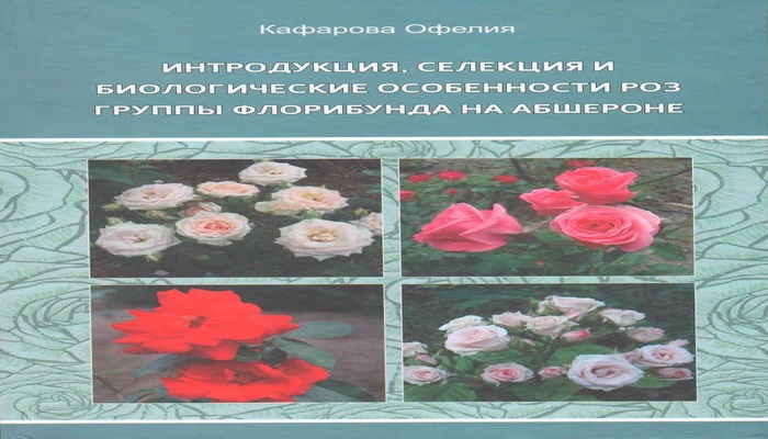 Вышла в свет книга "Интродукция, селекция роз группы флорибунда на Апшероне и их биоморфологические особенности"