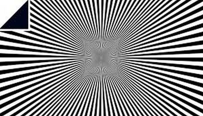 Yapon professorunun optik illüziyaları hər kəsi çaşdıracaq.