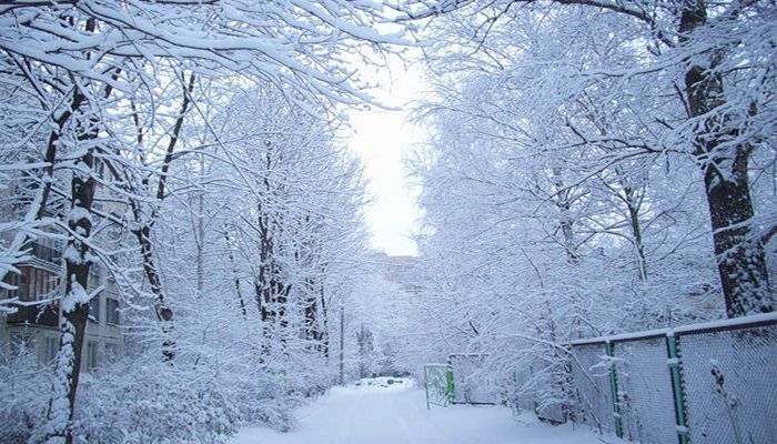 Yenə qar yağır - FAKTİKİ HAVA