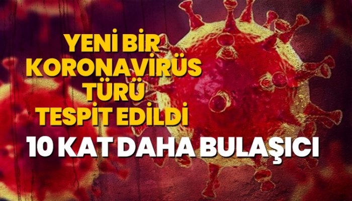 Yeni bir koronavirüs türü tespit edildi: 10 kat daha bulaşıcı