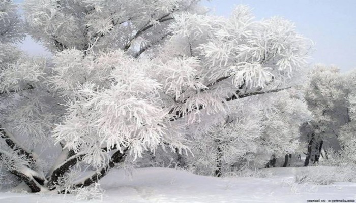 Yüksək dağlıq ərazilərdə 12 dərəcəyədək şaxta qeydə alınıb - FAKTİKİ HAVA