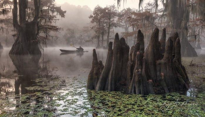 Guardians of swamps