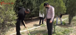 Gəncənin YAP fəallarından yaşıllıqların artırılmasına daha bir töhfə (FOTO) - Gallery Thumbnail