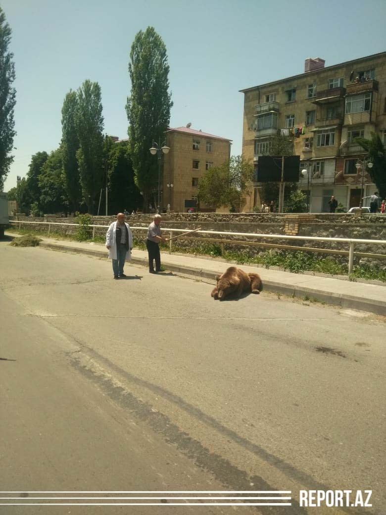 07fab596-46da-4332-87ae-165ad27be123 (1).jpg