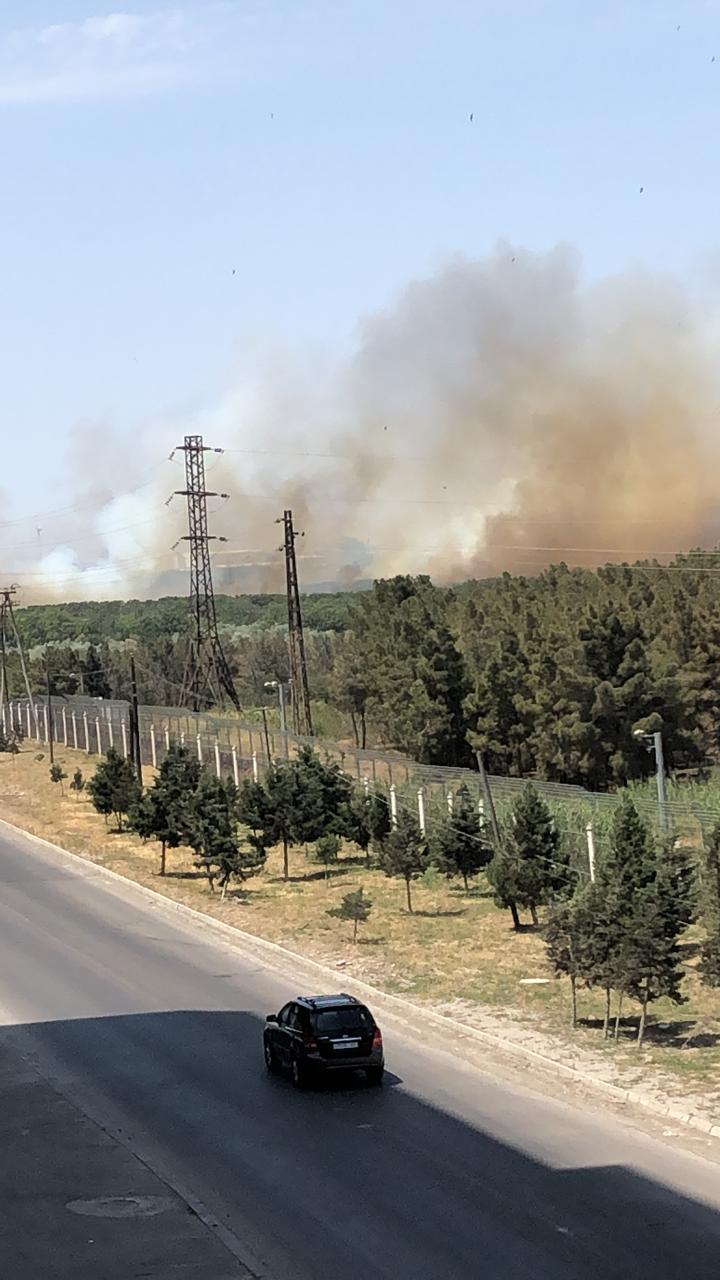 b1d08e35-0a63-4739-9c87-690dbcb482a9 (1).jpg